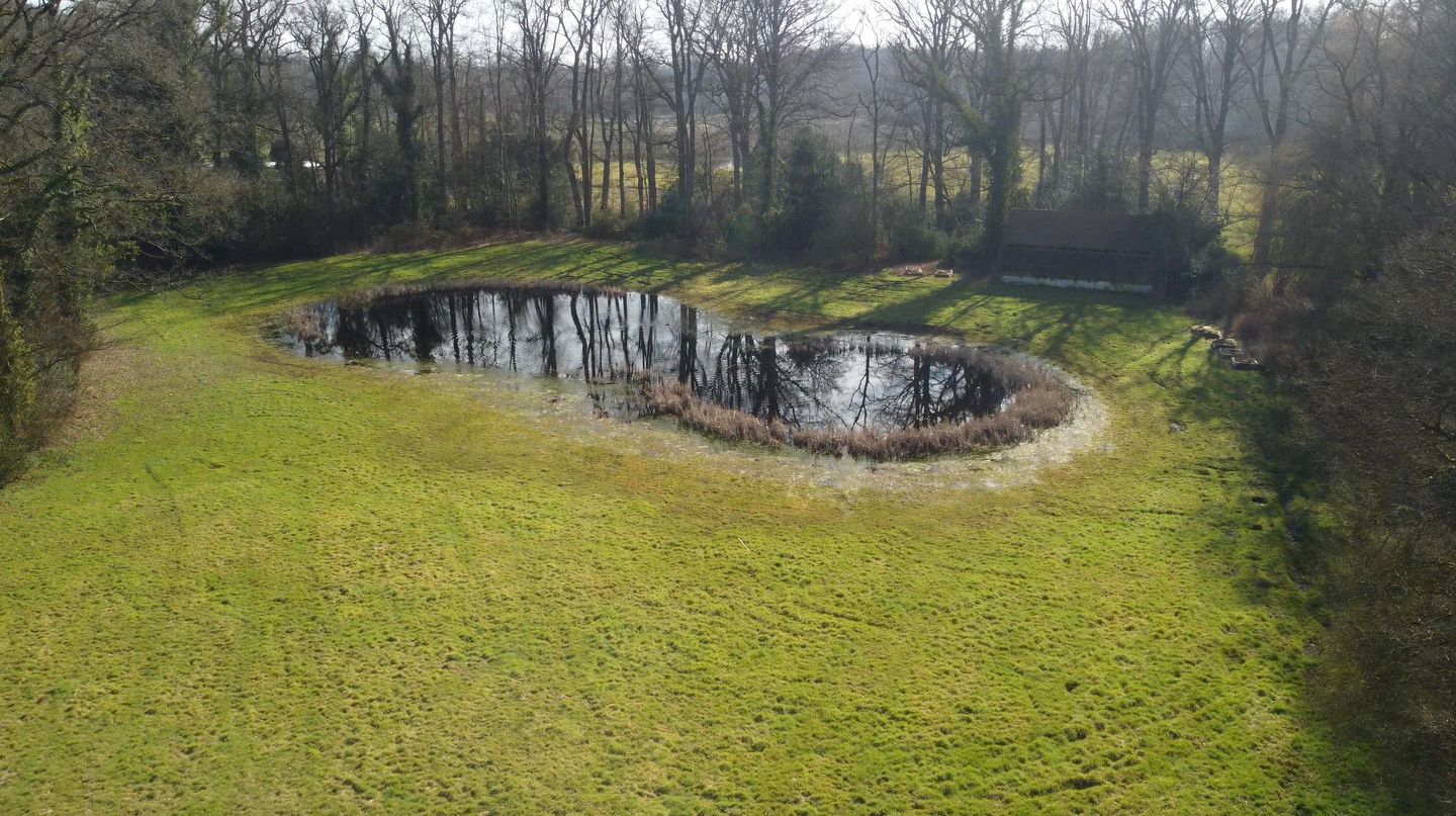 Photo 7 of Bastinglaan 20 Boekelo