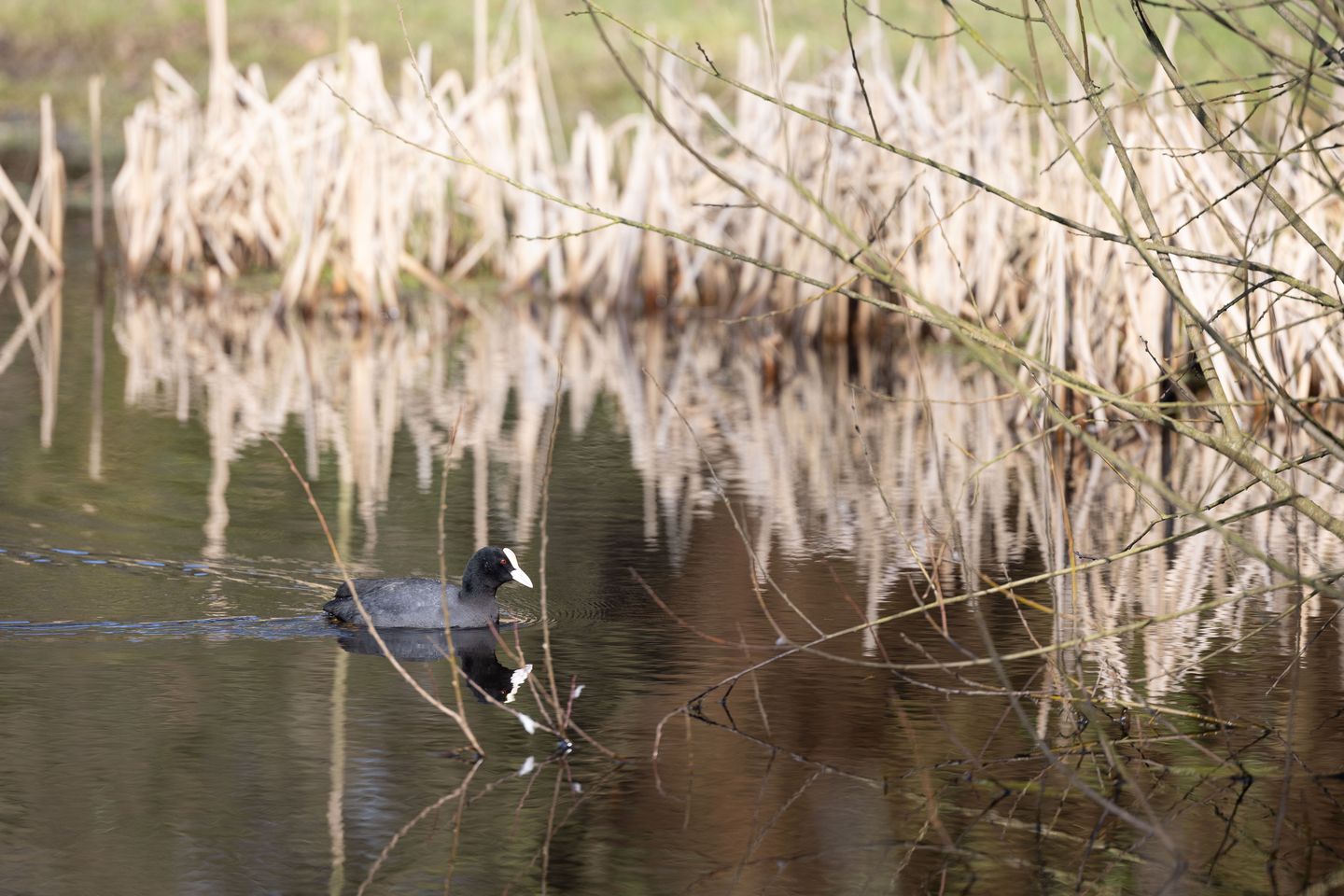 Photo 8 of Bastinglaan 20 Boekelo