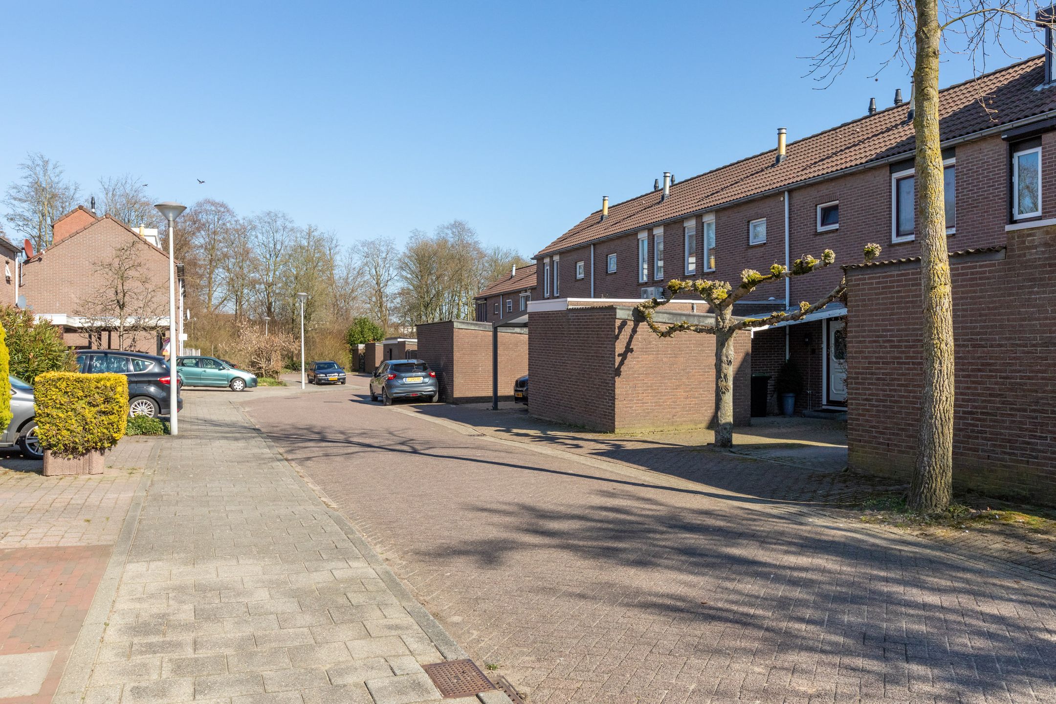 Foto 51 van Roodborststraat 4