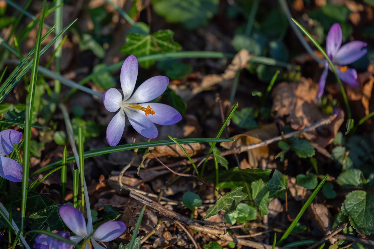 Foto 13 van Bastinglaan 20 Boekelo