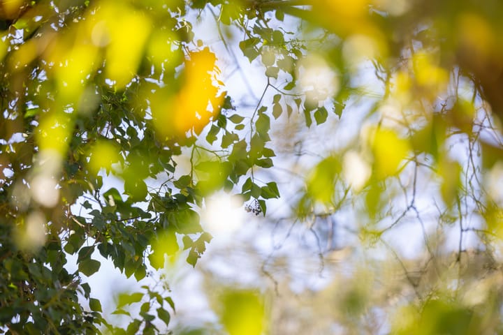 Photo 16 of Bastinglaan 20 Boekelo