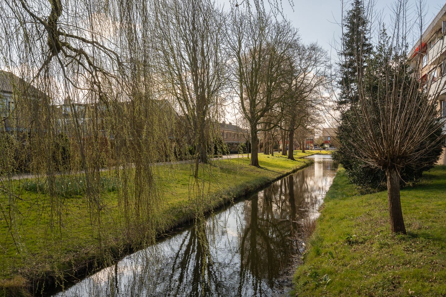 Foto 35 van Eikensteinstraat 59