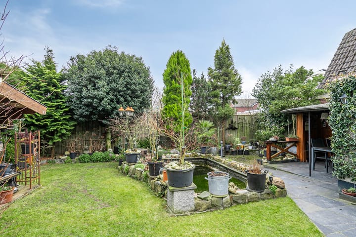 Foto 31 van Beukenlaan 25