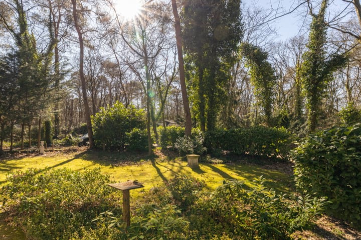 Foto 28 van Wiltsangh 41-0004