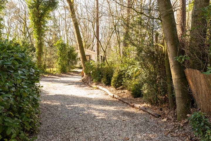 Foto 30 van Wiltsangh 41-0004