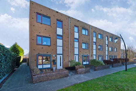 undefined main image