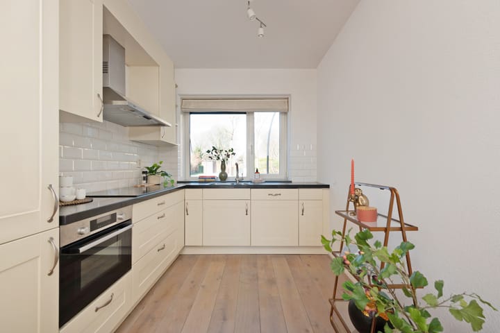 Foto 5 van Duifpolder 46