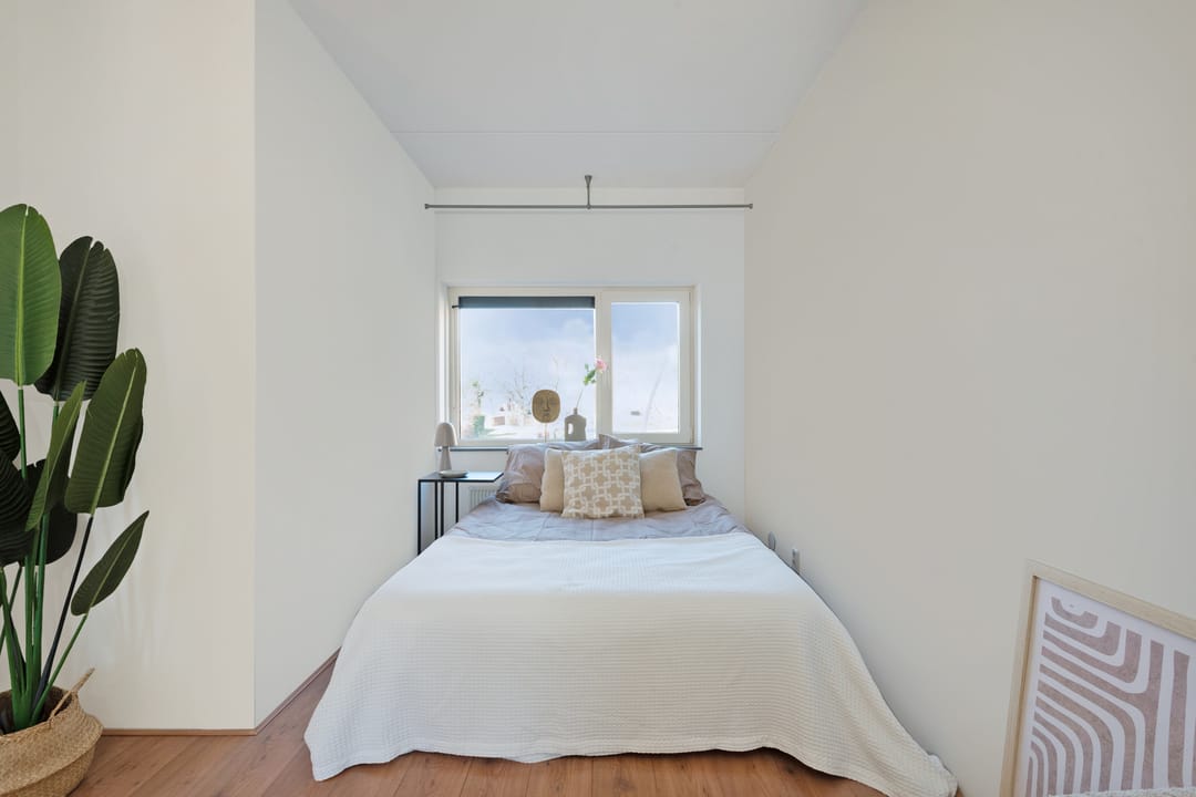 Foto 23 van Duifpolder 46