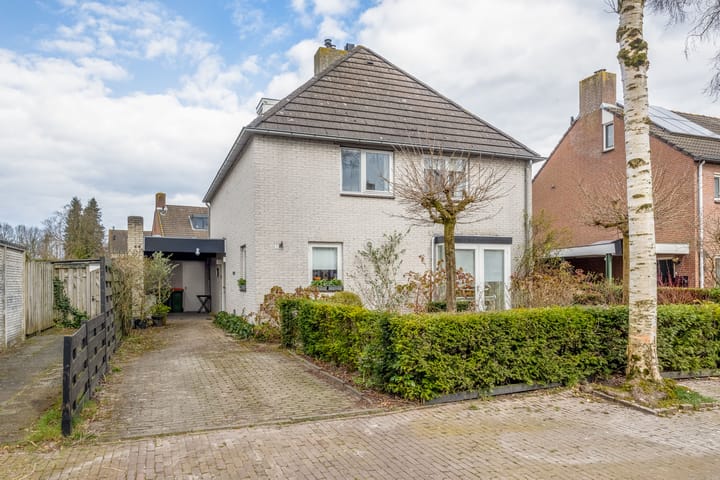 Foto 2 van Smidsheining 1