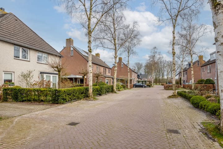 Foto 35 van Smidsheining 1