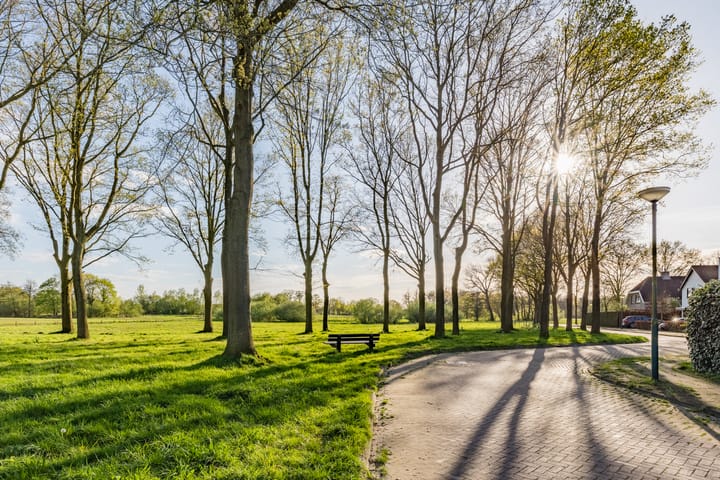 Foto 36 van Smidsheining 1