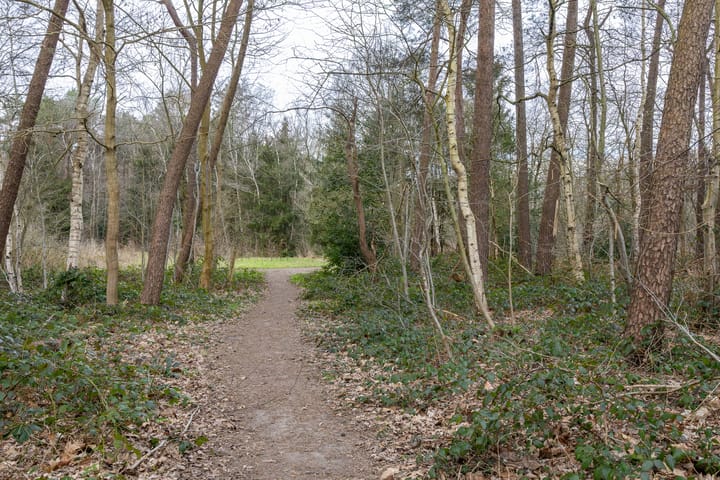 Foto 40 van Smidsheining 1