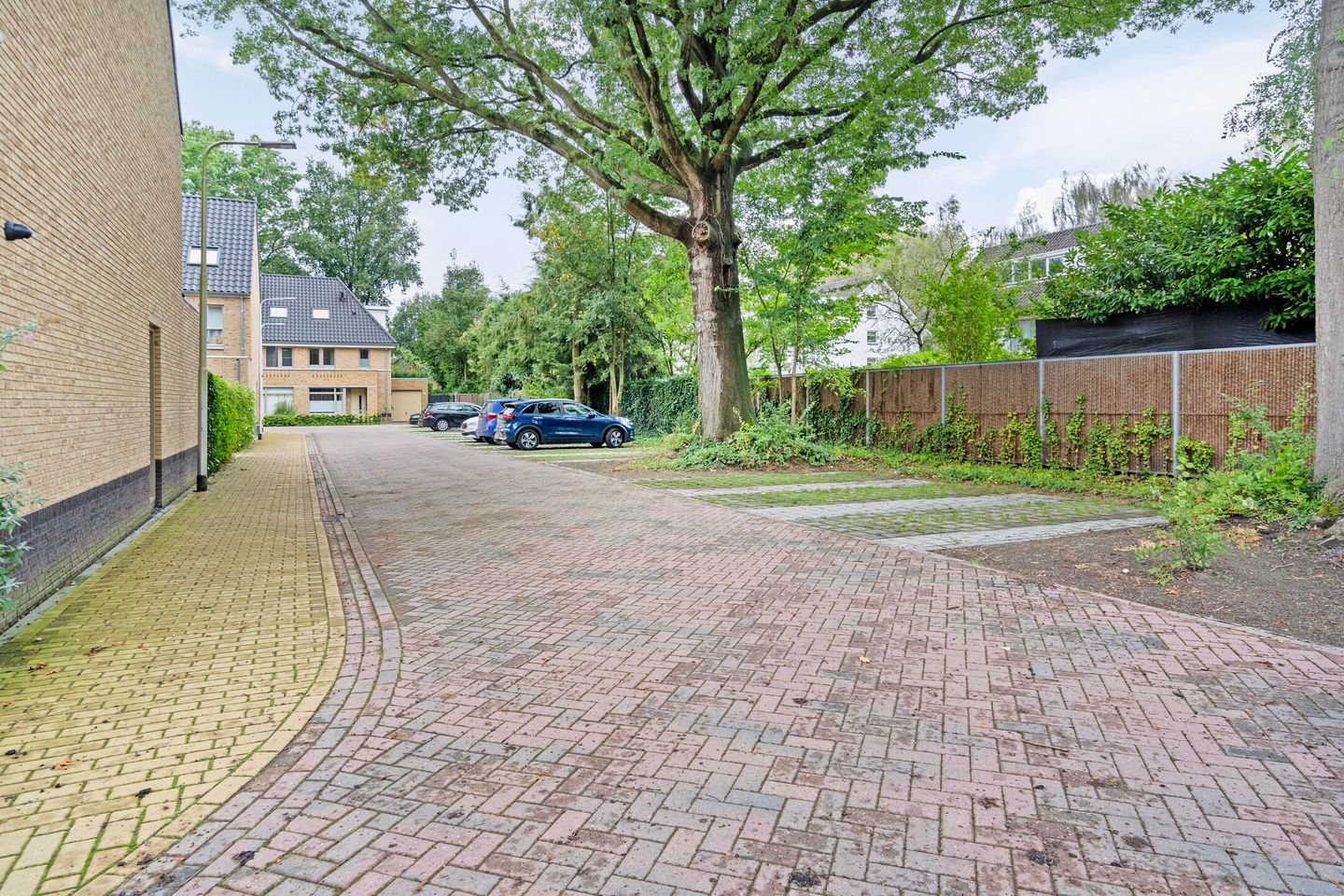 Foto 40 van Jacob Catserf 10