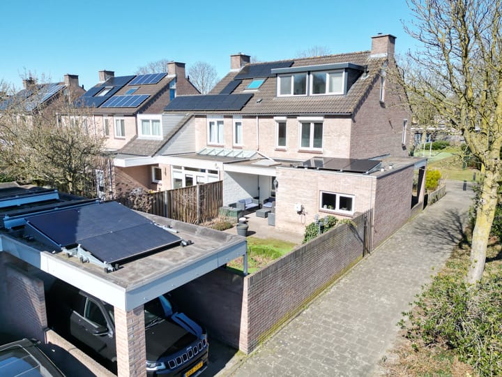 Photo 1 of Kamille 1