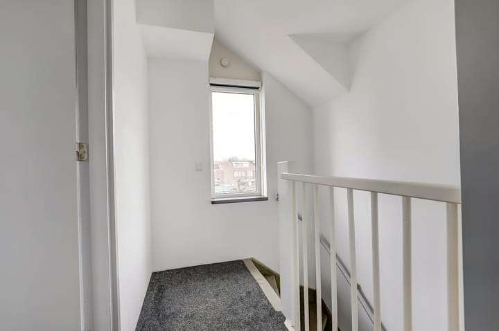 Photo 29 of Kamille 1