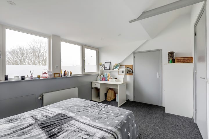 Photo 31 of Kamille 1