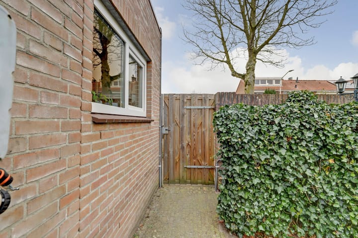 Photo 34 of Kamille 1