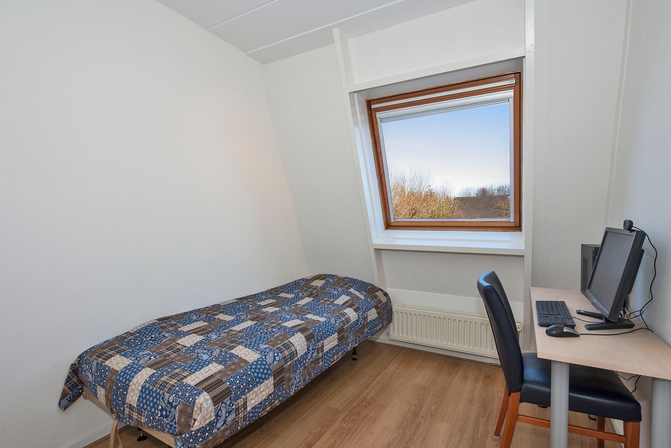 Foto 12 van Belgradostraat 38