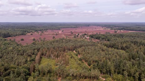 Bijsterbosweg 3-B tertiary image