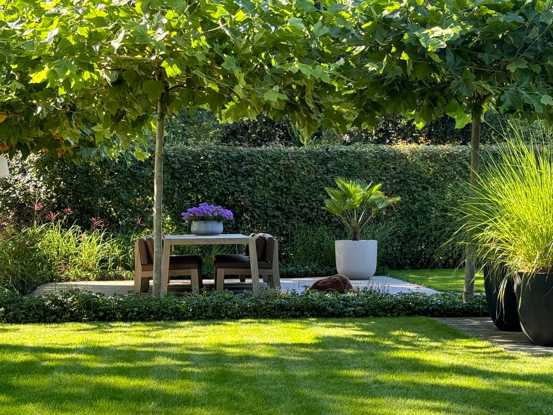 Foto 32 van Taxusplantsoen 32