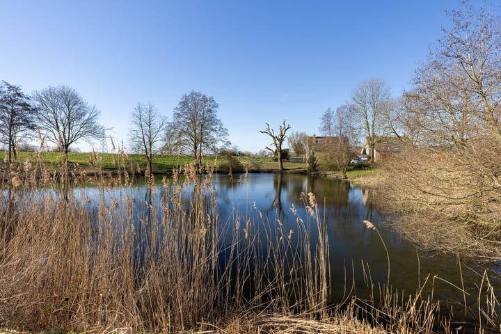 Foto 18 van Tesselschadelaan 109