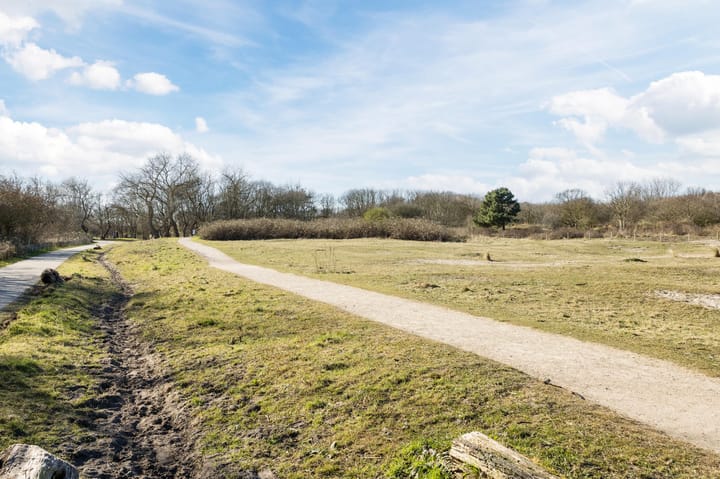 Foto 50 van Zeewindelaan 8