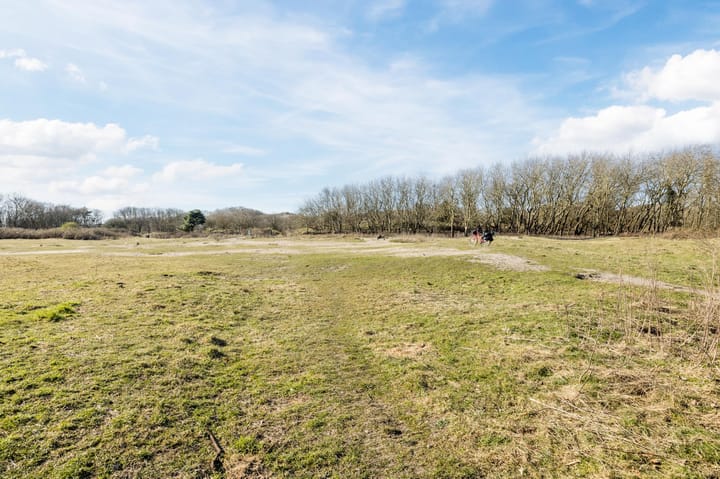 Foto 51 van Zeewindelaan 8