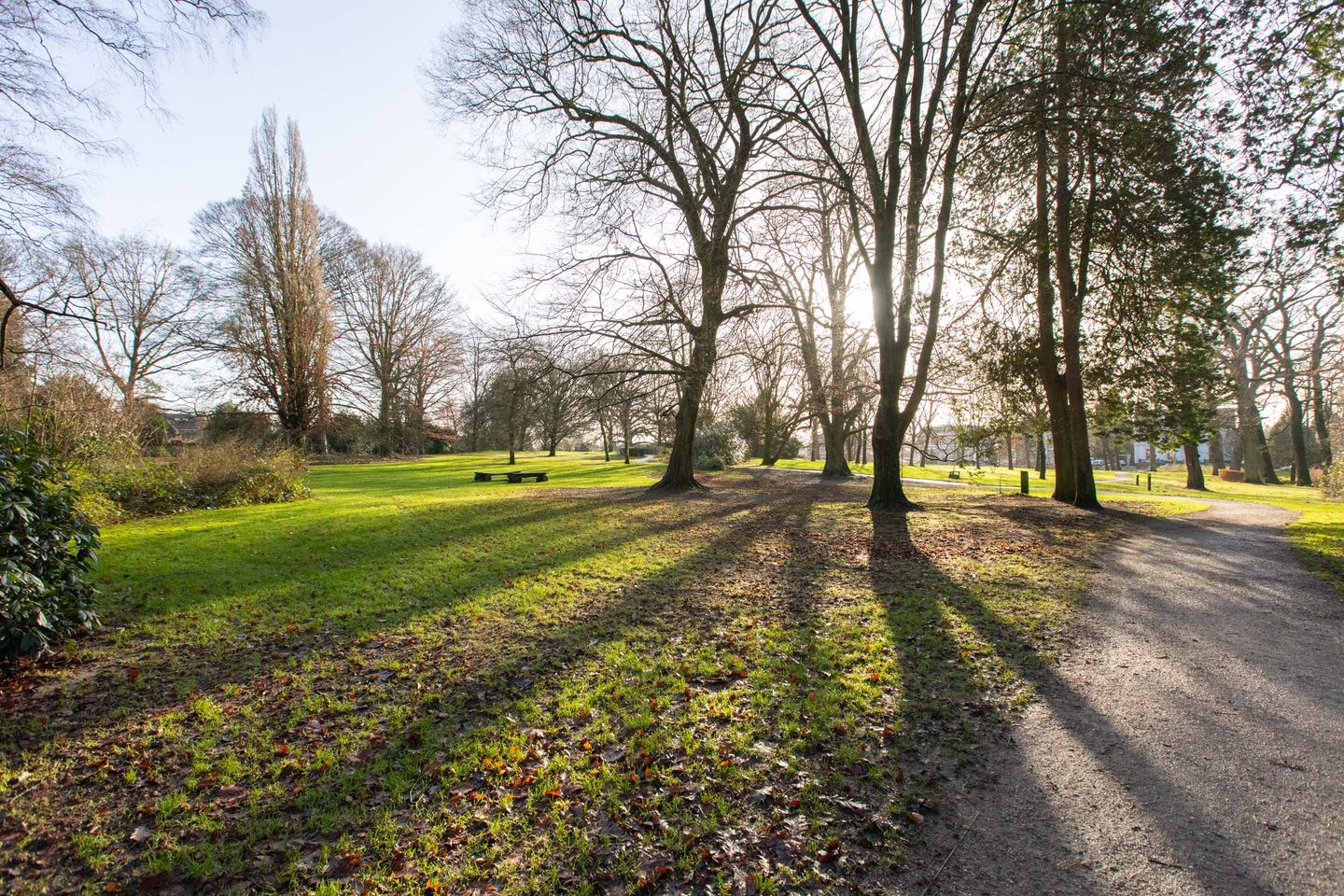 Foto 4 van Beethovenlaan 11