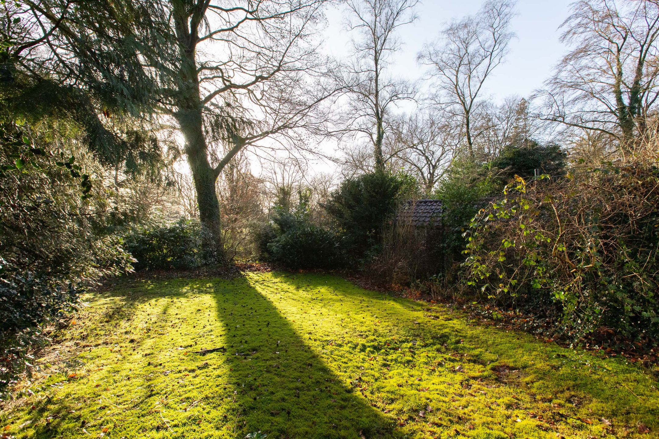 Foto 24 van Beethovenlaan 11