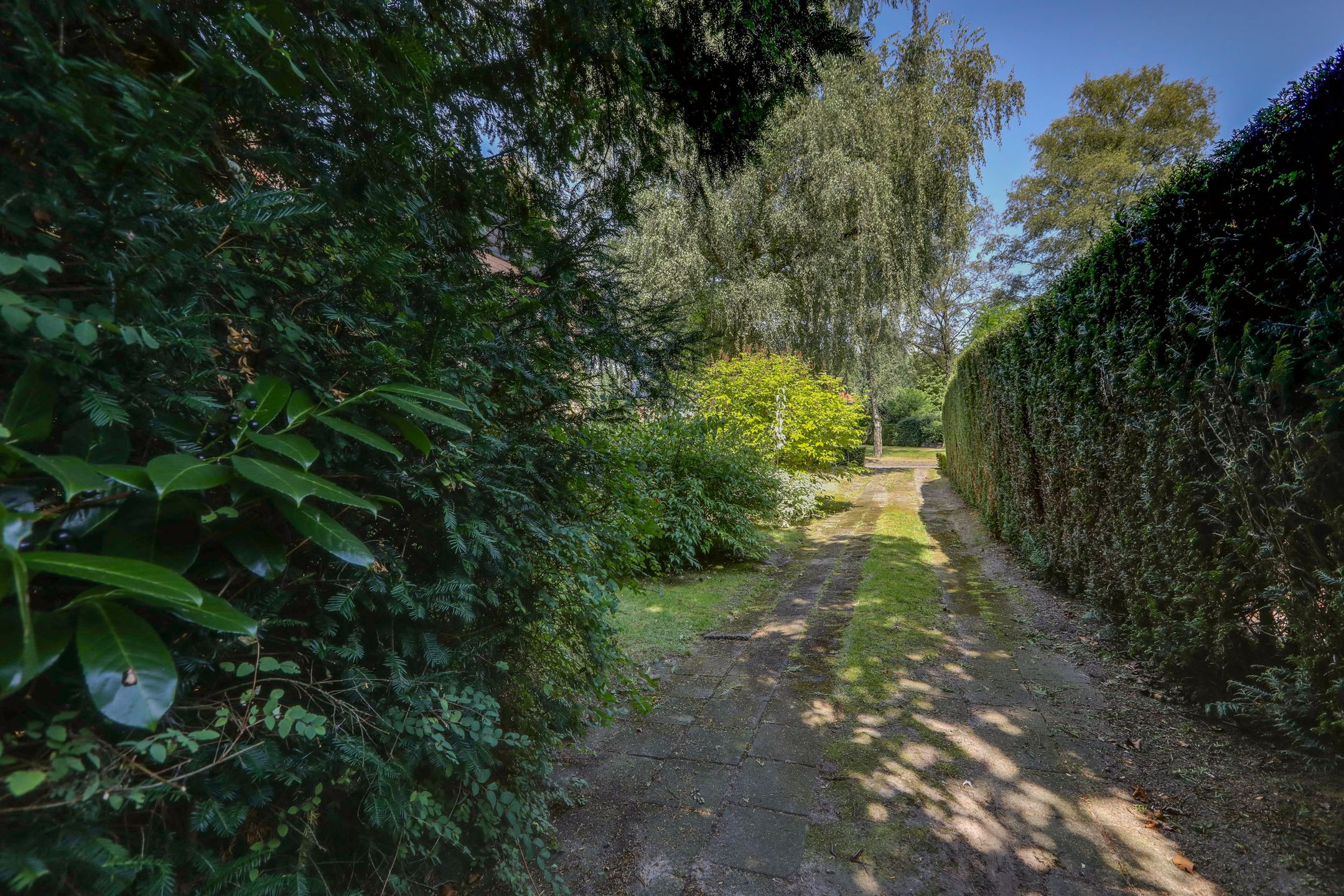 Foto 27 van Beethovenlaan 11