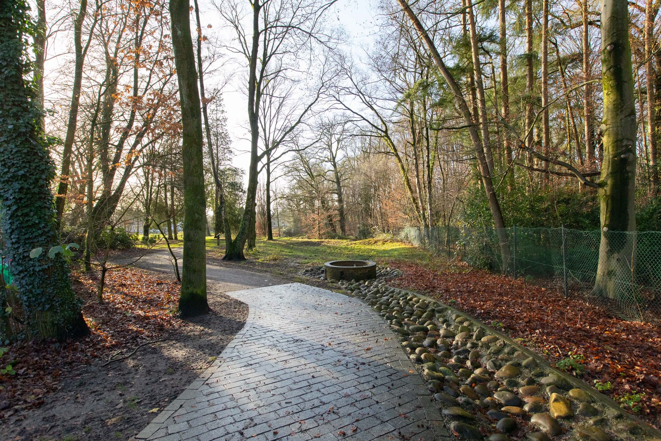 Foto 36 van Beethovenlaan 11