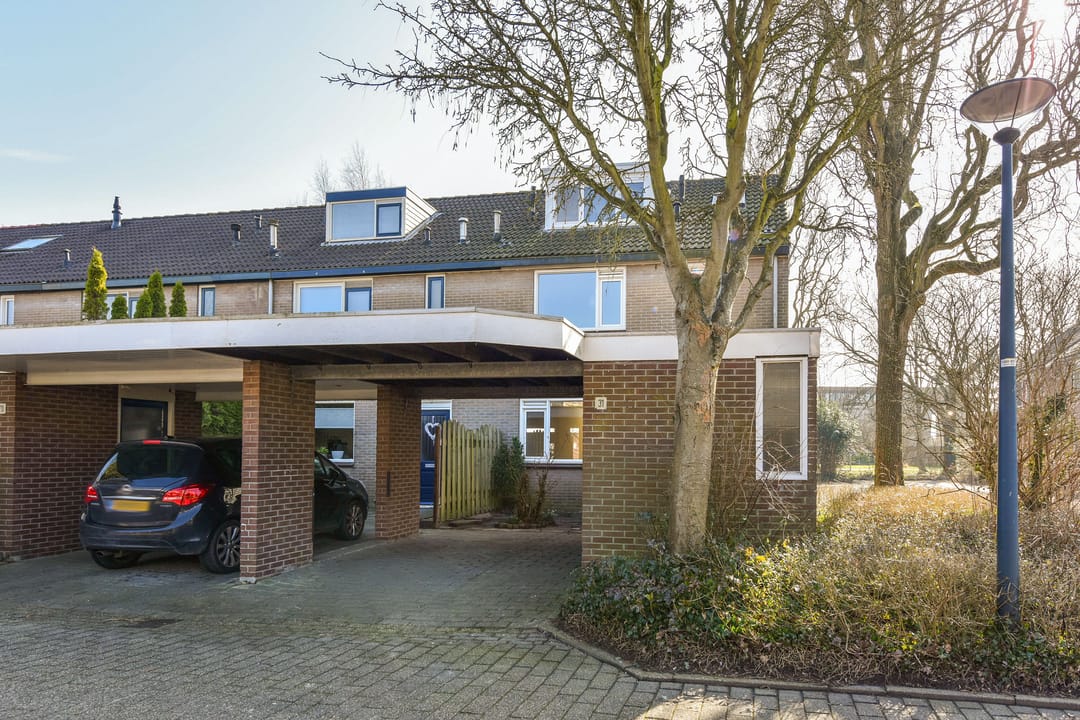 Foto 1 van Galjoen 31