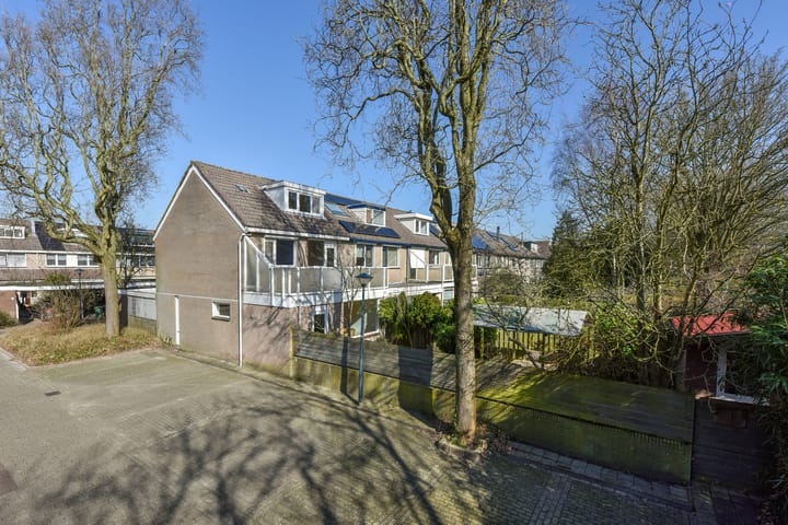 Foto 2 van Galjoen 31