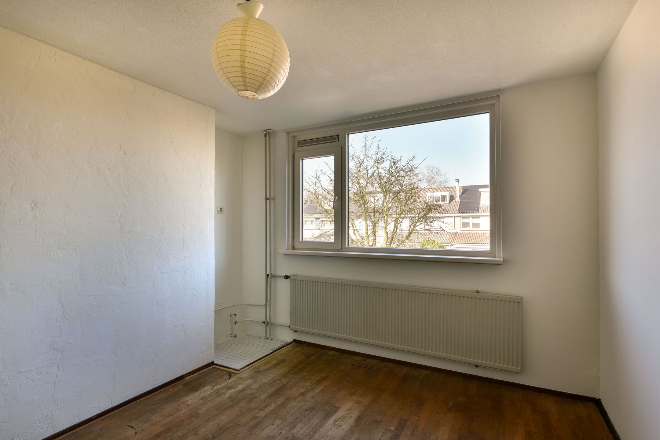 Foto 15 van Galjoen 31