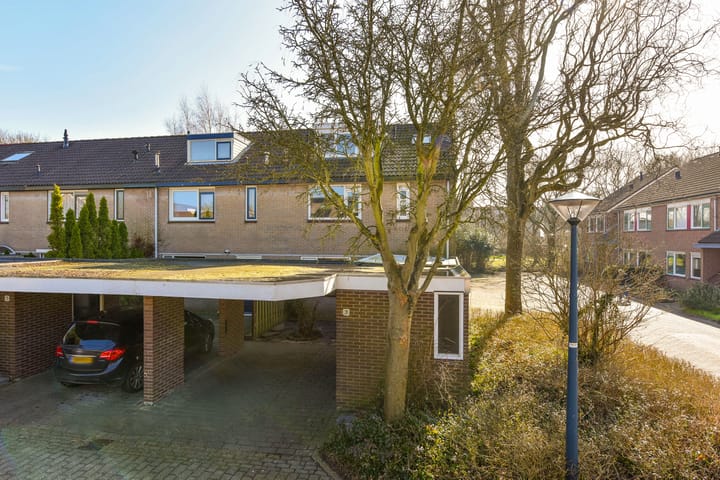 Foto 41 van Galjoen 31