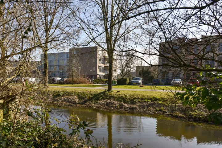 Foto 42 van Galjoen 31