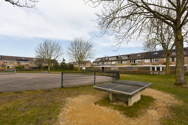 Foto 43 van Galjoen 31