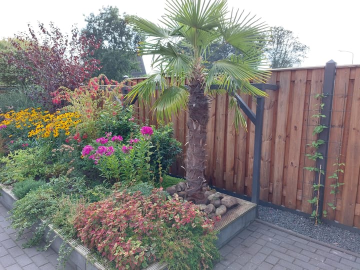 Foto 49 van Klaverweide 21