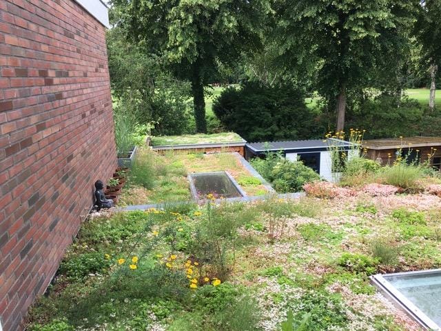 Foto 39 van Houtensepad 43