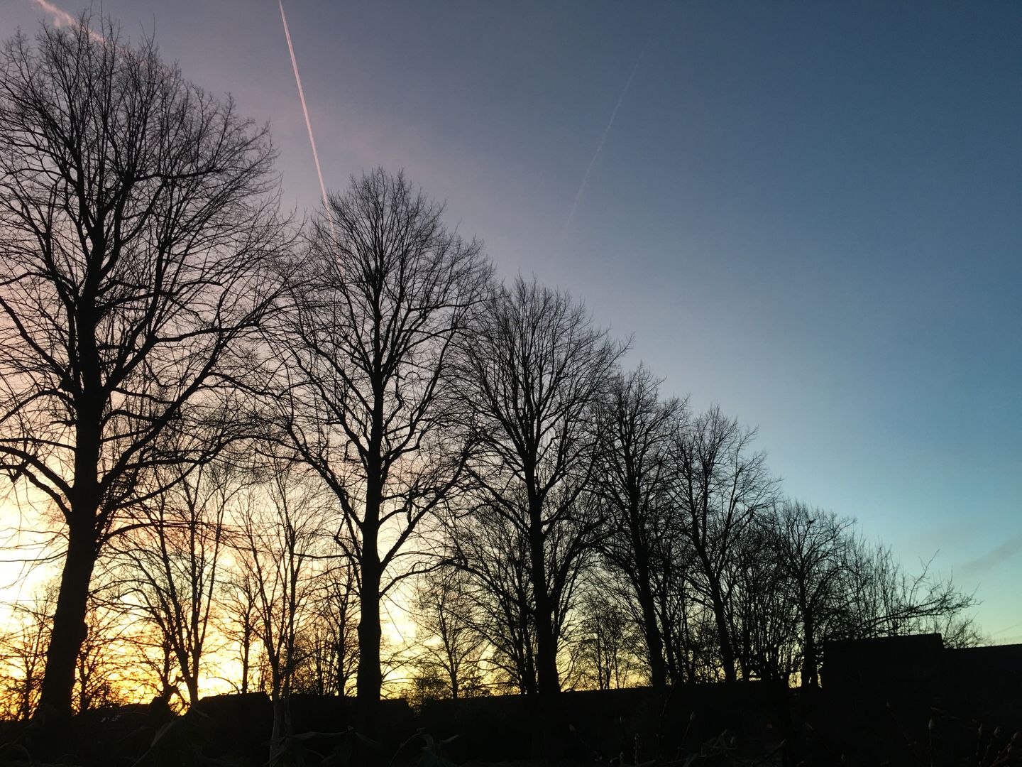 Foto 59 van Houtensepad 43