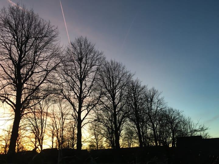 Foto 59 van Houtensepad 43