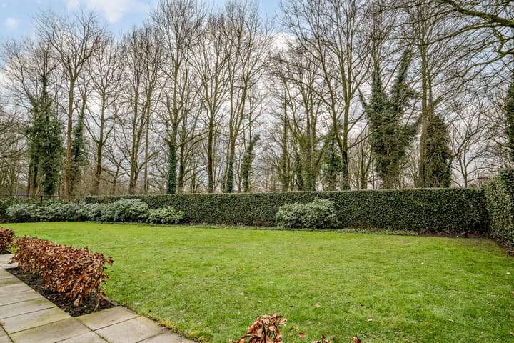 Foto 41 van het Kolkven 1