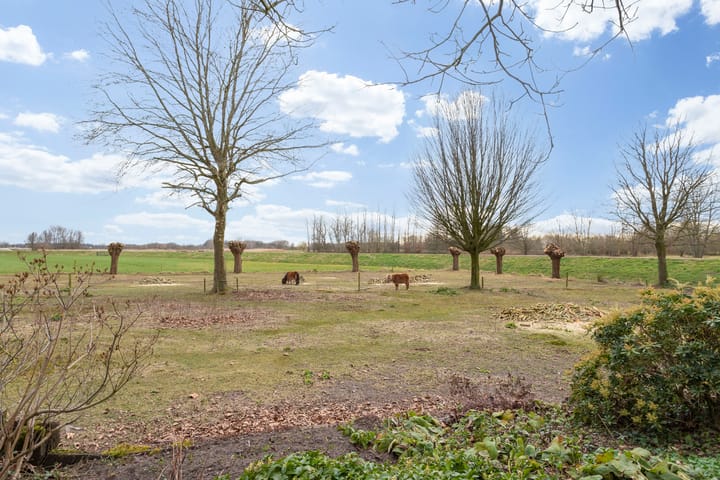 Foto 61 van Kollenberg 35