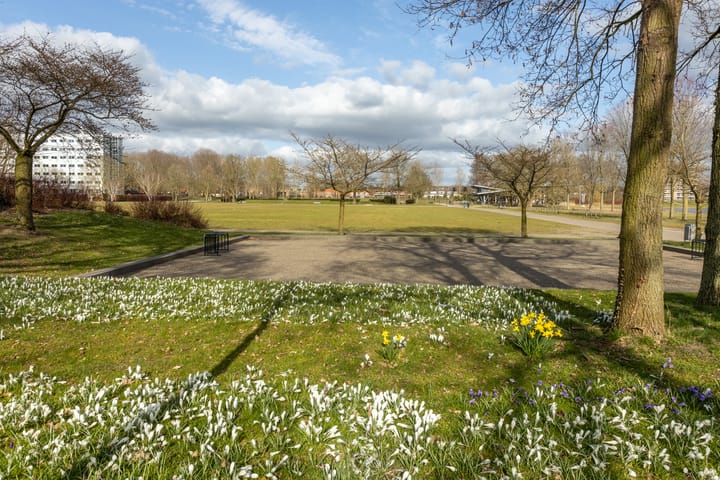 Foto 42 van Assendorperdijk 34