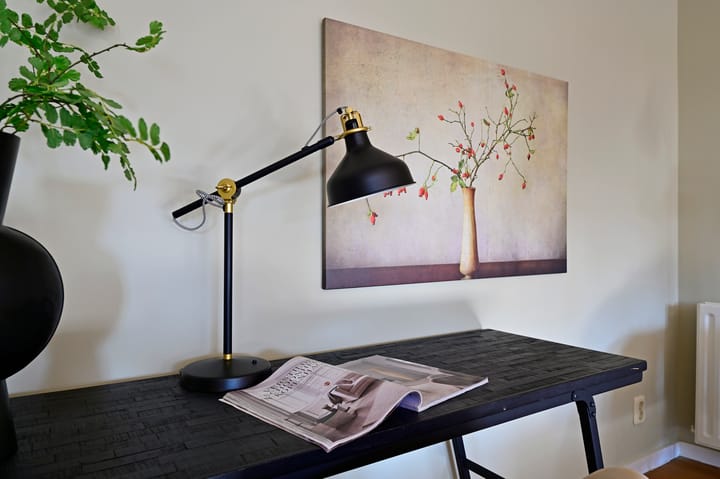 Foto 13 van Zeshoven 7