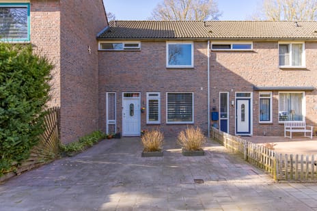 undefined main image