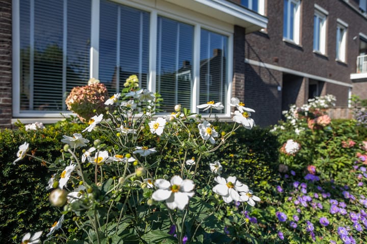 Foto 28 van Pastoor de Louwstraat 2-A