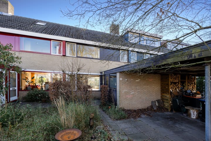 Foto 3 van Koolzaadland 20