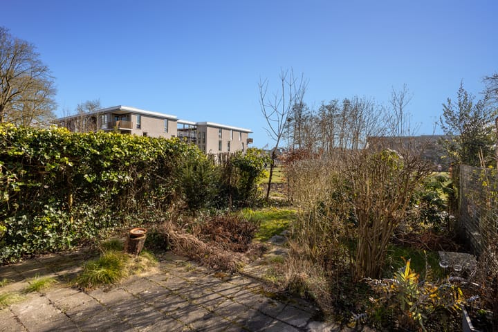 Foto 12 van Koolzaadland 20