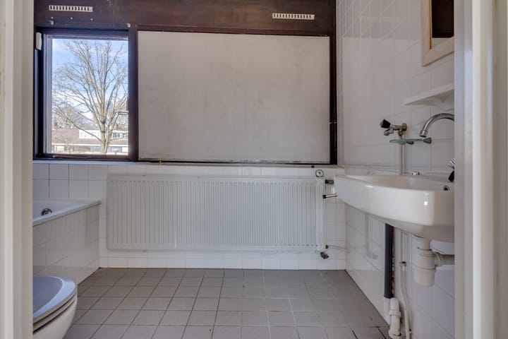 Foto 19 van Koolzaadland 20